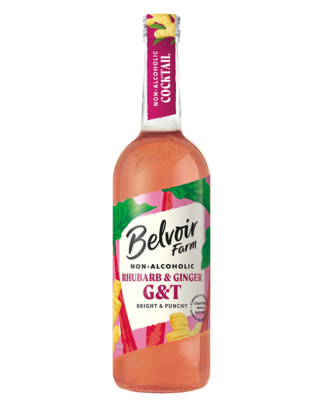 Non-Alcoholic Rhubarb & Ginger G&T