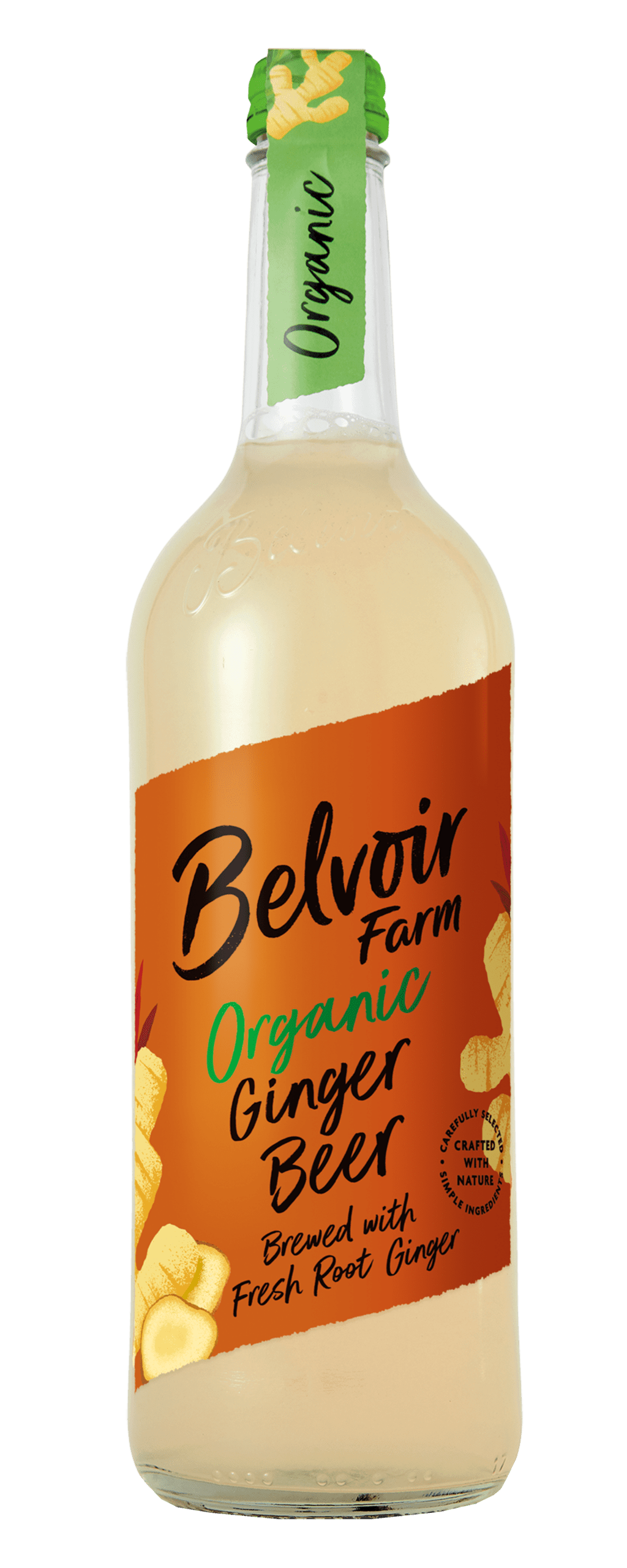 Organic Ginger Beer