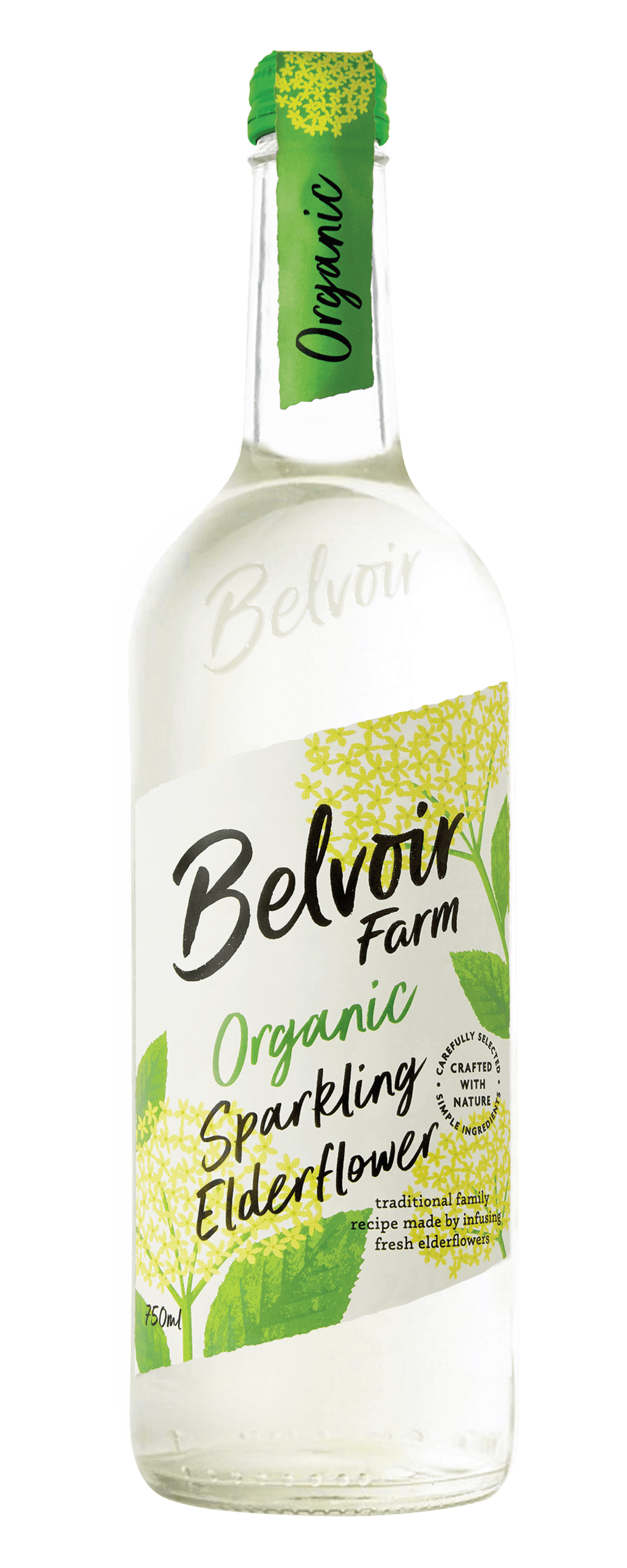 Organic Sparkling Elderflower