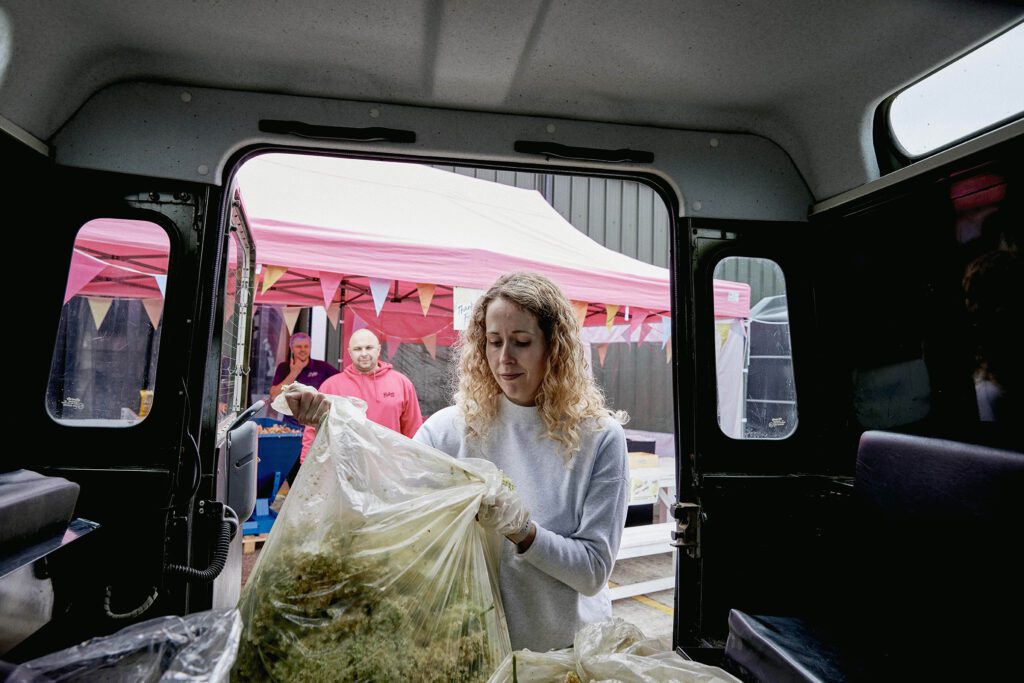 a local picker bringing their elderflowers to the belvoir farm elderflower harvest collection station