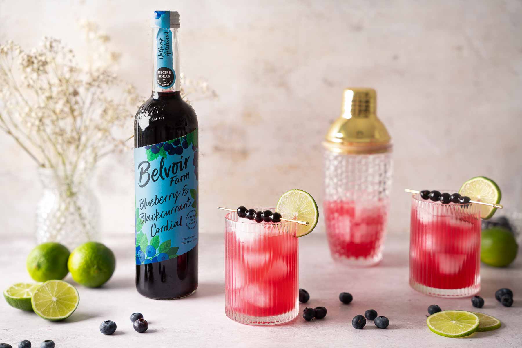 Blueberry and Blackcurrant Margarita